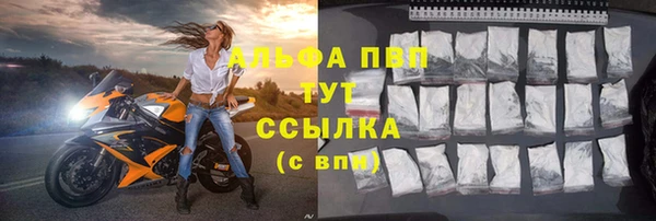 ECSTASY Кинешма