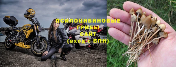 ECSTASY Кинешма