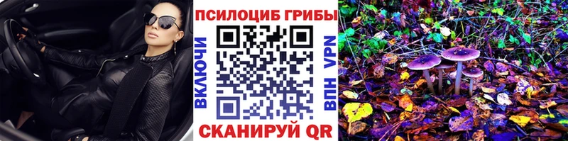 Купить закладки  Кадников  Псилоцибиновые грибы Psilocybine cubensis 